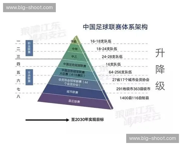 全面了解中国足球联赛体系及各级职业联赛的结构与发展现状