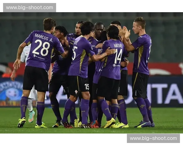 2014年意甲完整赛程回顾及各大球队表现分析